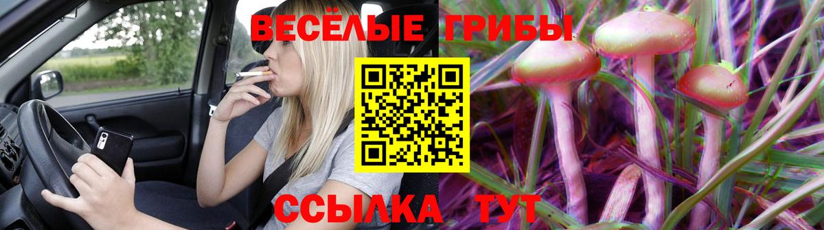 Ирбит  Псилоцибиновые грибы ЛСД  Вход с VPN 